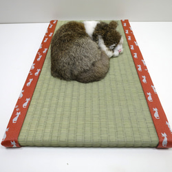ねこ専用畳”ねこふんじゃった” 8枚目の画像