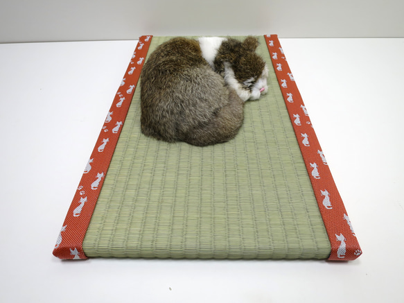 ねこ専用畳”ねこふんじゃった” 8枚目の画像
