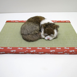 ねこ専用畳”ねこふんじゃった” 1枚目の画像