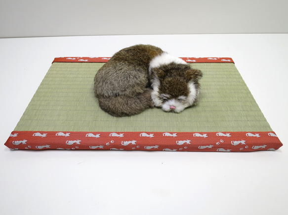 ねこ専用畳”ねこふんじゃった” 1枚目の画像