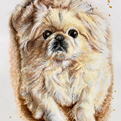 鉛筆画　オーダー画面 598c12e08f240c7783d3ce2001032f