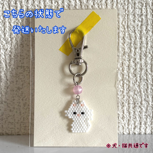 チワワ ビーズストラップ｜骨チャーム付き｜ポーチや鍵に｜小顔