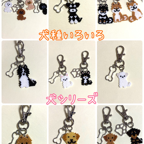 チワワ ビーズストラップ｜骨チャーム付き｜ポーチや鍵に｜小顔