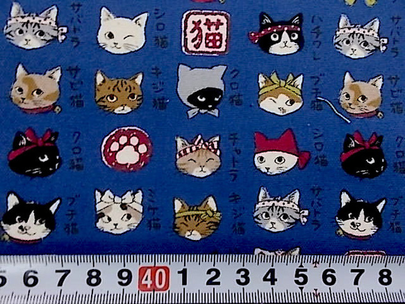 オックス 猫模様図鑑（ネイビー）50㎝ 生地 あらゆる生地ウエダ 通販