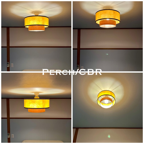 天井照明 Perch/CBR シーリングライト E26 LED レトロインテリア シーリングライト 照明 Perch/CBR E26 LED レトロ 北欧 オイルパーチ