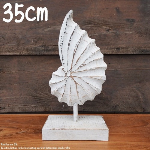 木製オブジェ オウムガイ 35cm 貝 ホワイトウォッシュ 木彫りの