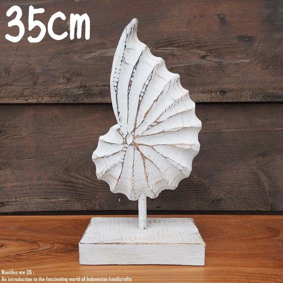 木製オブジェ オウムガイ 35cm 貝 ホワイトウォッシュ 木彫りの