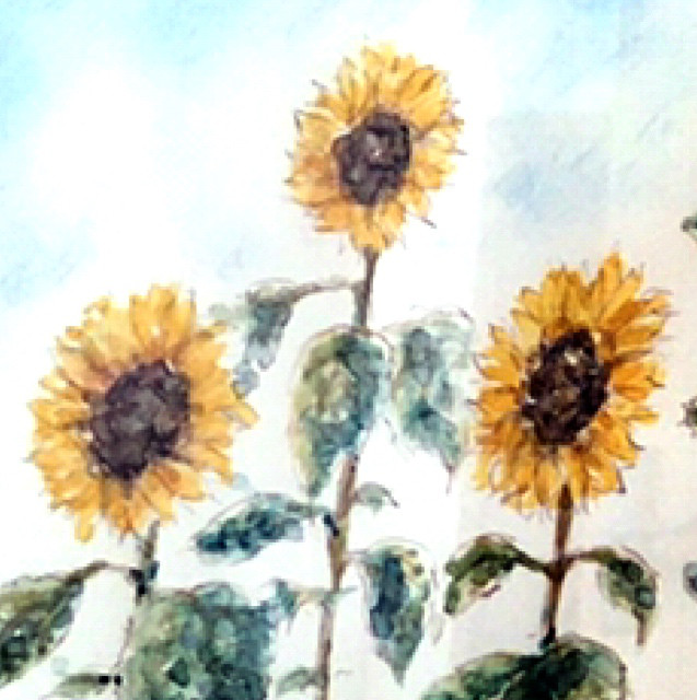 もちこ様 専用ページ