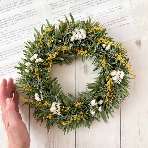 薔薇様専用 ミモザ ゴールデントップ アカシア 生花 フレッシュ リース