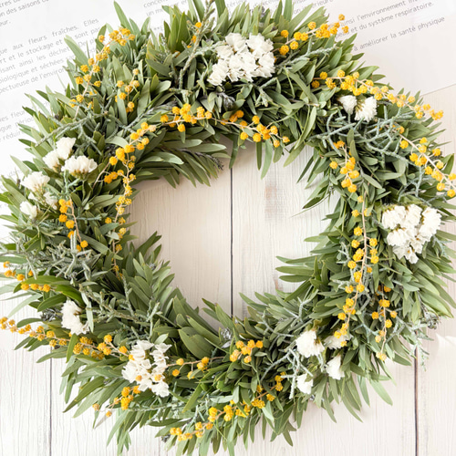 アカシアブルーブッシュとミモザのナチュラルリース Lサイズ ドライ