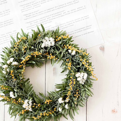 アカシアブルーブッシュとミモザのナチュラルリース Lサイズ ドライ