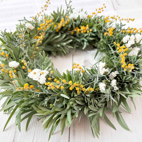 アカシアブルーブッシュとミモザのナチュラルリース Lサイズ ドライ