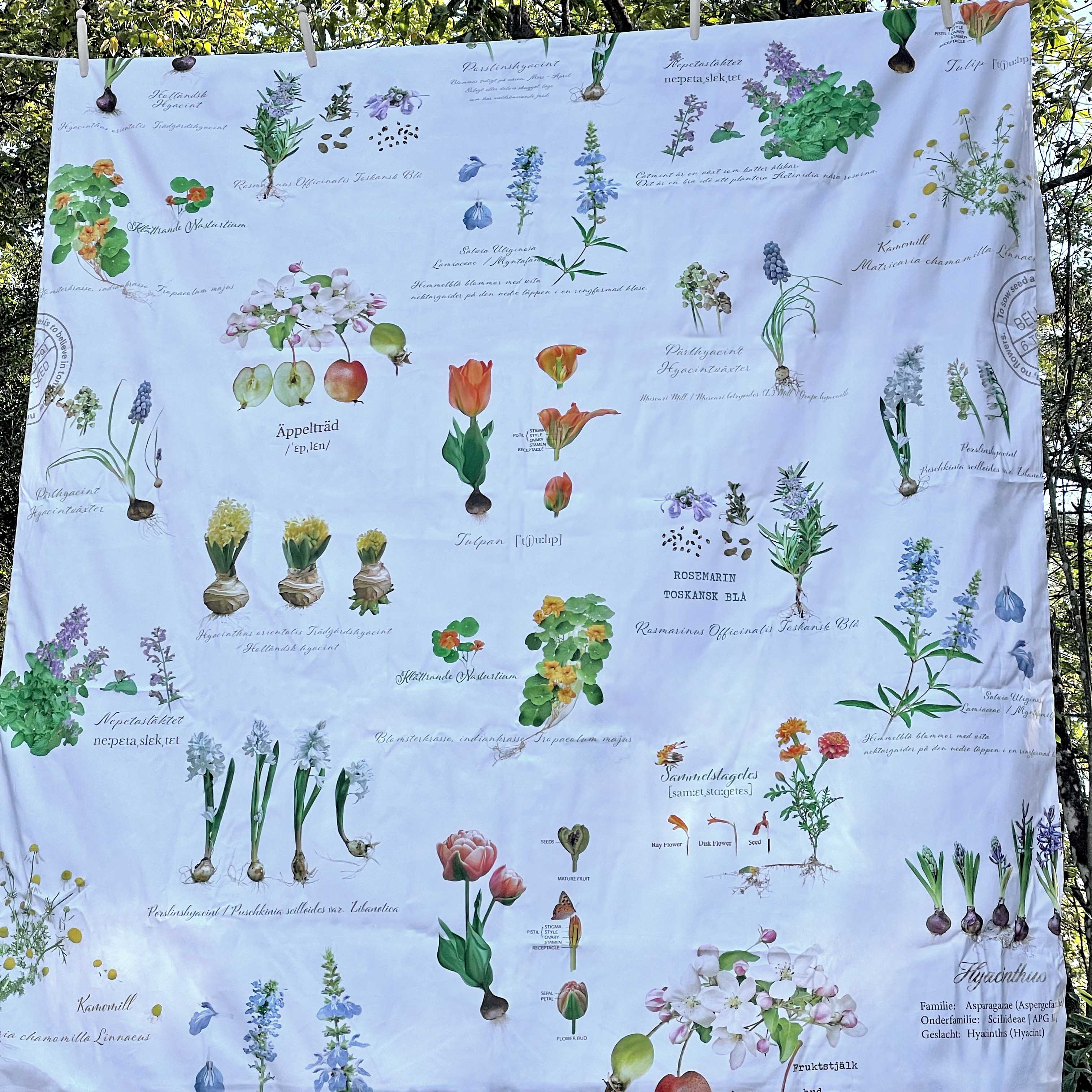 明日のガーデニングが楽しみになる、春の宿根草と菜園のかけ布団カバー。