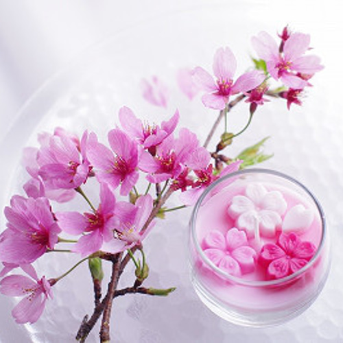 再販)さくらキャンドル｜満開の桜＆幻想的な夜桜の香りでお花見気分