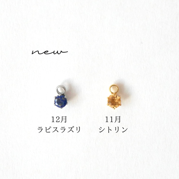 【選べる誕生石】愛おしい2人を想う天然石ピアスサージカルステンレス　シンプル　ギフト　二粒　母の日　セミオーダー 4枚目の画像