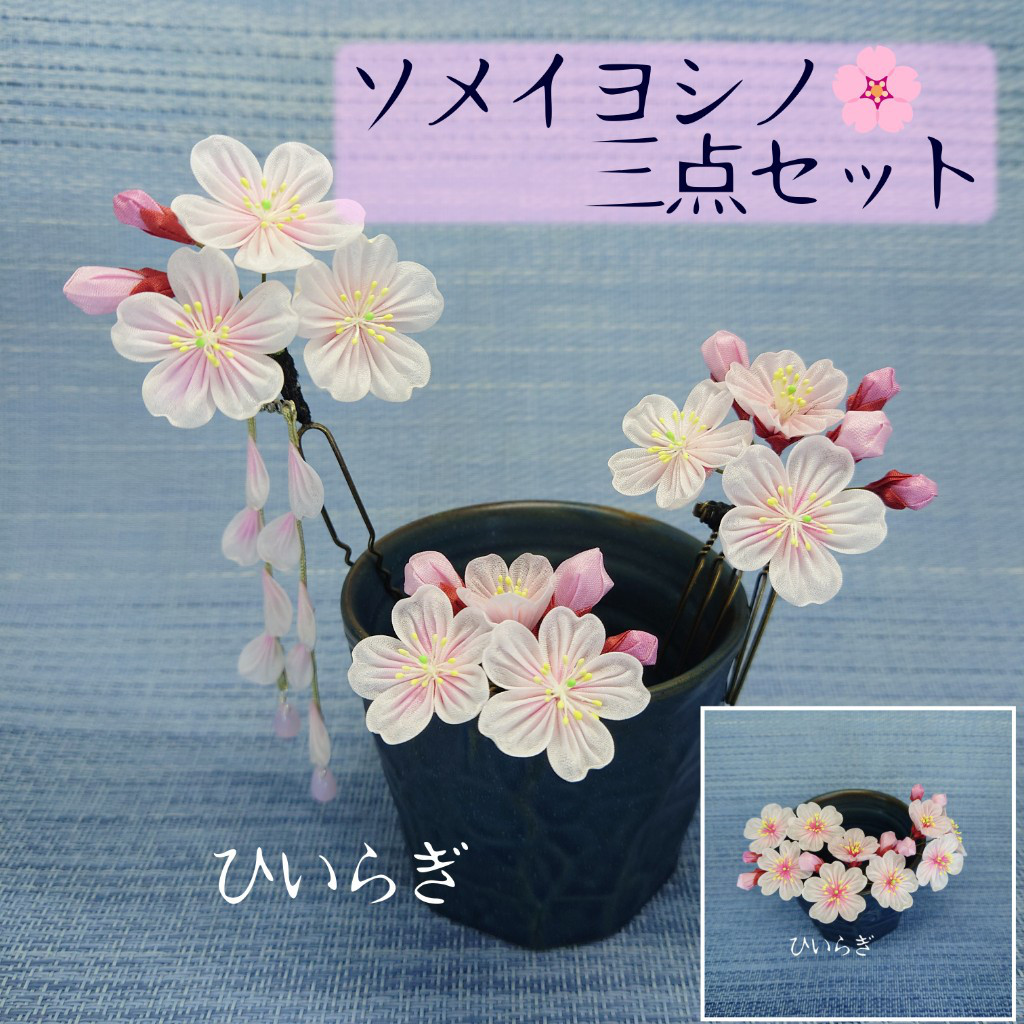 ソメイヨシノ三点セット