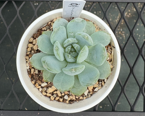 d259d20beb0026a3f18a1082a64475