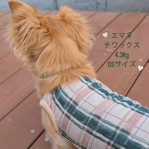 犬服 ドッグウェア ハンドメイド セミオーダー
