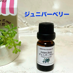 世界を買える 海外ブランド 大容量 ティーツリー 100ml 高品質セラピーグレード エッセンシャルオイル