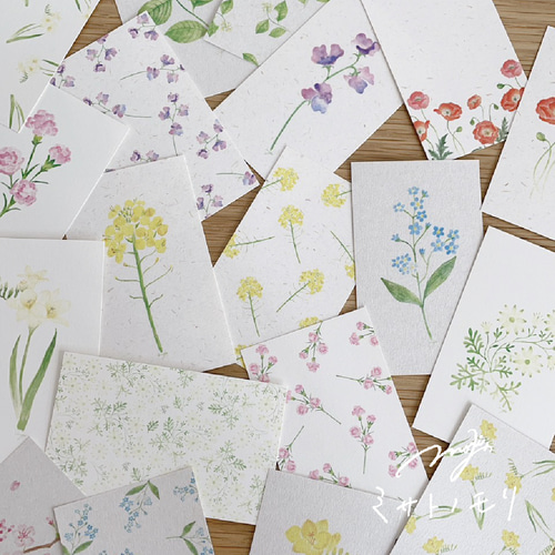 絵の花のミニカード｜名刺サイズのメッセージカード。しおりにも◎ 全9