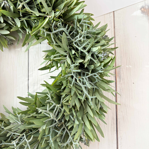 おしゃれなグリーンリース アカシアブルーブッシュのナチュラル