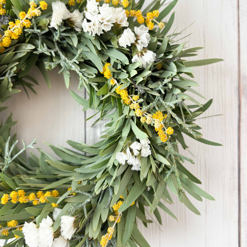 ミモザとグリーンのナチュラルリース 23cmMサイズ | ドライフラワー