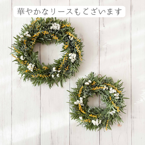 小さめのアカシアブルーブッシュのグリーンリース ｜ドライフラワー