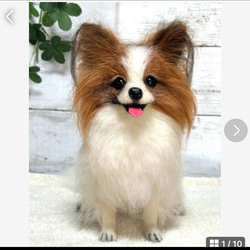 4906ac5d7e7b044ea8fafd97978043