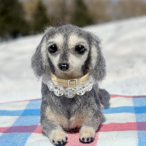 Cocoaくん専用】ダックス【鼻先からお尻まで13cm】羊毛フェルト