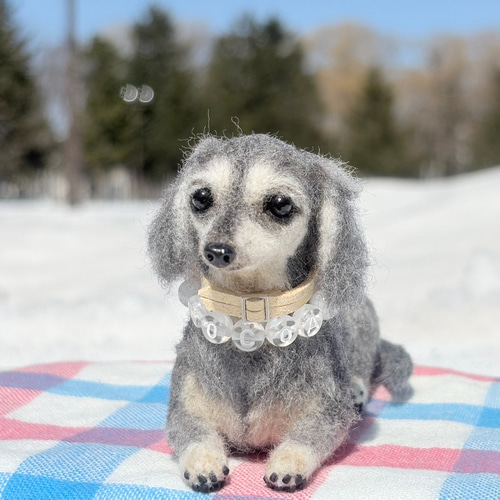 Cocoaくん専用】ダックス【鼻先からお尻まで13cm】羊毛フェルト