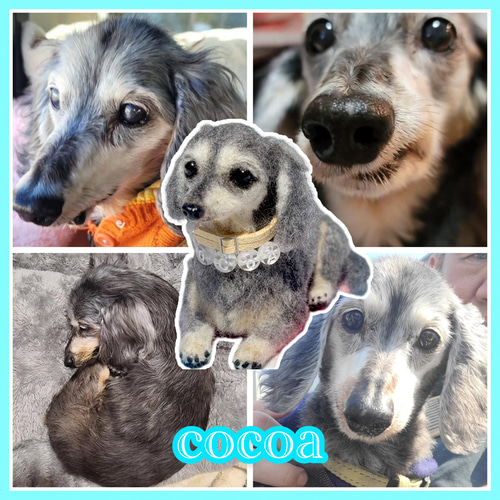 Cocoaくん専用】ダックス【鼻先からお尻まで13cm】羊毛フェルト