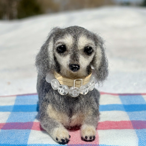 Cocoaくん専用】ダックス【鼻先からお尻まで13cm】羊毛フェルト