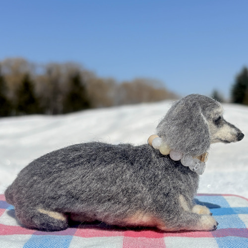 Cocoaくん専用】ダックス【鼻先からお尻まで13cm】羊毛フェルト
