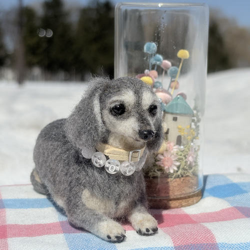 cocoa様　オーダー　羊毛フェルト Cocoaくん専用】ダックス【鼻先からお尻まで13cm】羊毛フェルト