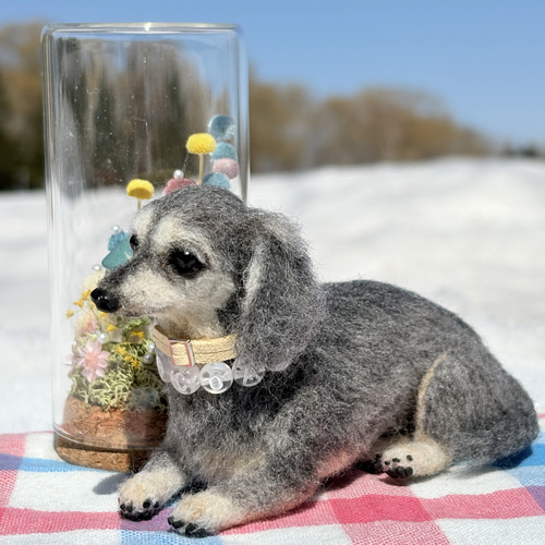 Cocoaくん専用】ダックス【鼻先からお尻まで13cm】羊毛フェルト