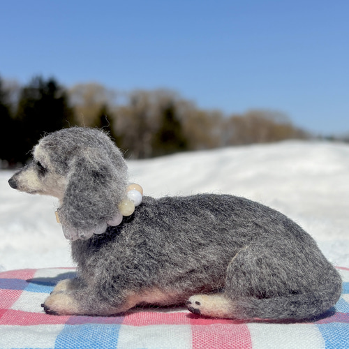 Cocoaくん専用】ダックス【鼻先からお尻まで13cm】羊毛フェルト