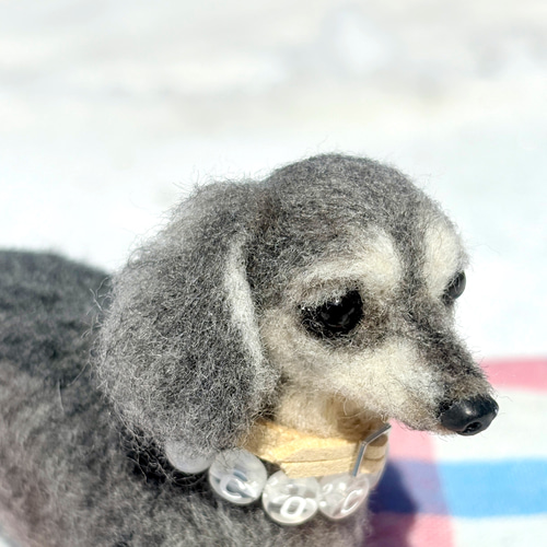 Cocoaくん専用】ダックス【鼻先からお尻まで13cm】羊毛フェルト