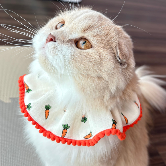 にんじんスタイ】猫スタイ ペットスタイ 猫ちゃん首輪 にんじん