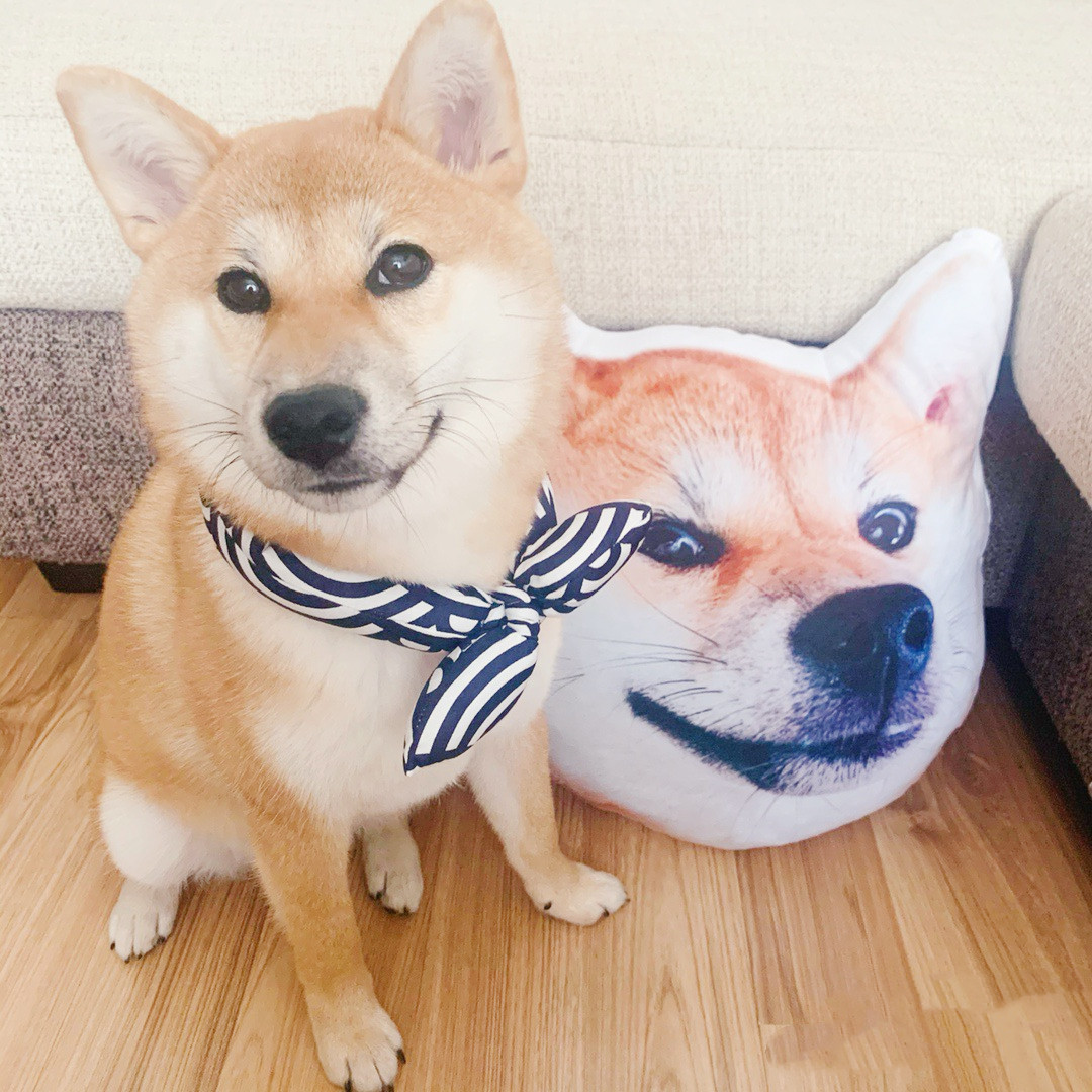 ふわふわとした触り心地の良いオリジナルクッション60ｃｍ 　愛犬・愛猫・動物・ペット・ウサギ・ハムスター・鳥