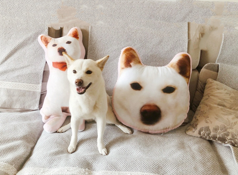 ふわふわとした触り心地の良いオリジナルクッション70ｃｍ 　愛犬・愛猫・動物・ペット・ウサギ・ハムスター・鳥