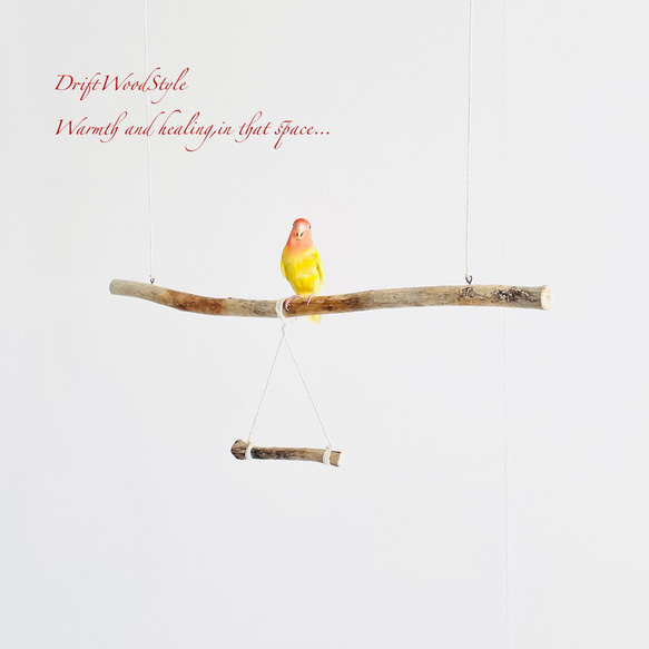 流木止まり木  シンプルな天然流木の小鳥の止まり木 吊り下げタイプ インコ 鳥 ブランコ 自然木 N48 1枚目の画像