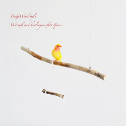 流木止まり木  シンプルな天然流木の小鳥の止まり木 吊り下げタイプ インコ 鳥 ブランコ 自然木 N48 3枚目の画像