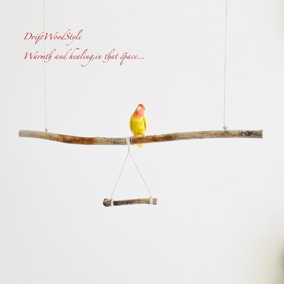 流木止まり木  シンプルな天然流木の小鳥の止まり木 吊り下げタイプ インコ 鳥 ブランコ 自然木 N48 2枚目の画像