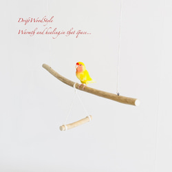 流木止まり木  シンプルな天然流木の小鳥の止まり木 吊り下げタイプ インコ 鳥 ブランコ 自然木 N49 3枚目の画像