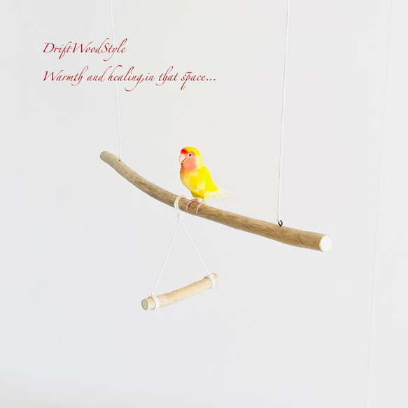 流木止まり木  シンプルな天然流木の小鳥の止まり木 吊り下げタイプ インコ 鳥 ブランコ 自然木 N49 3枚目の画像