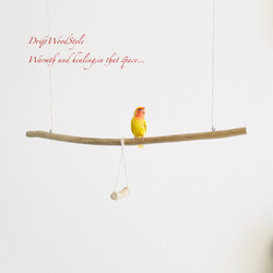 流木止まり木  シンプルな天然流木の小鳥の止まり木 吊り下げタイプ インコ 鳥 ブランコ 自然木 N49 2枚目の画像