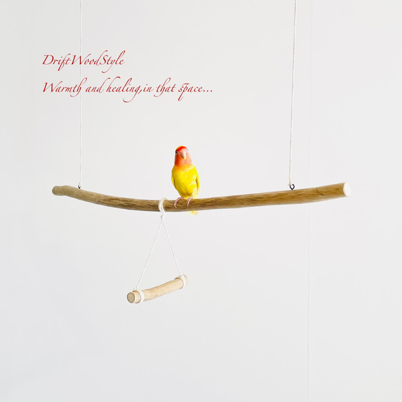 流木止まり木  シンプルな天然流木の小鳥の止まり木 吊り下げタイプ インコ 鳥 ブランコ 自然木 N49 1枚目の画像