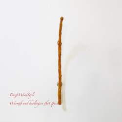 流木インテリア ランプや小物を飾れる天然流木の壁掛けスタンド ランタン 置物 北欧 照明 自然 N19 14枚目の画像