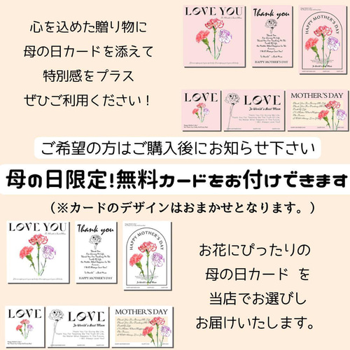 母の日ギフト 想いが届くカーネーションのフラワーアレンジメント