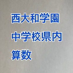 開智日本橋中学校 2025年新合格への算数プリント：ステップ2教材